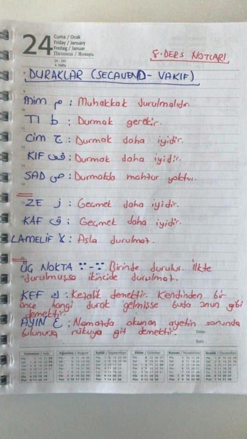 Nurcan S. — çalışma 2