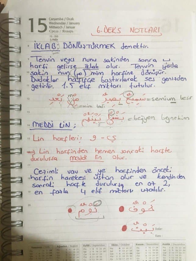 Nurcan S. — çalışma 3