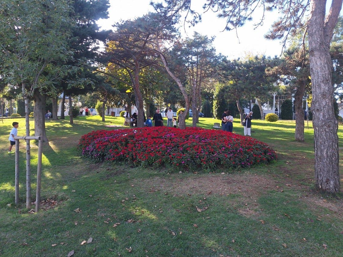 Nurettin M. — çalışma 1