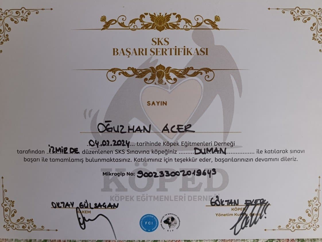 Oğuzhan A. — çalışma 1