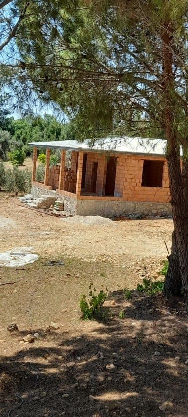 Okan B. — çalışma 7
