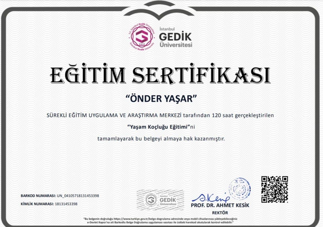 Önder Y. — çalışma 2