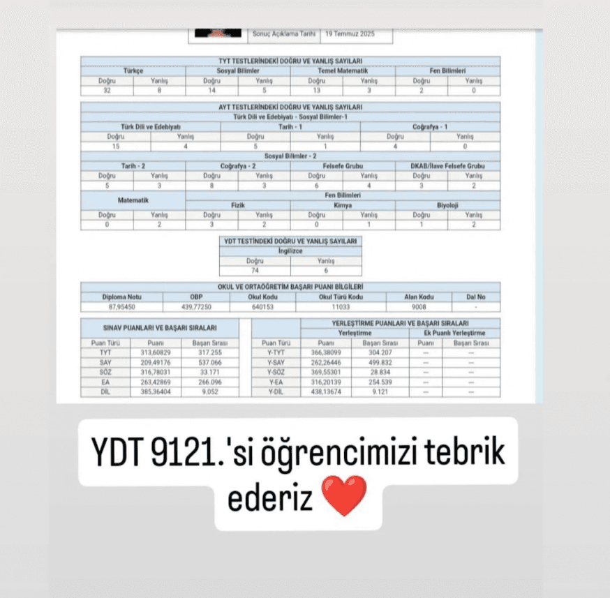 Ozlem İ. — çalışma 1