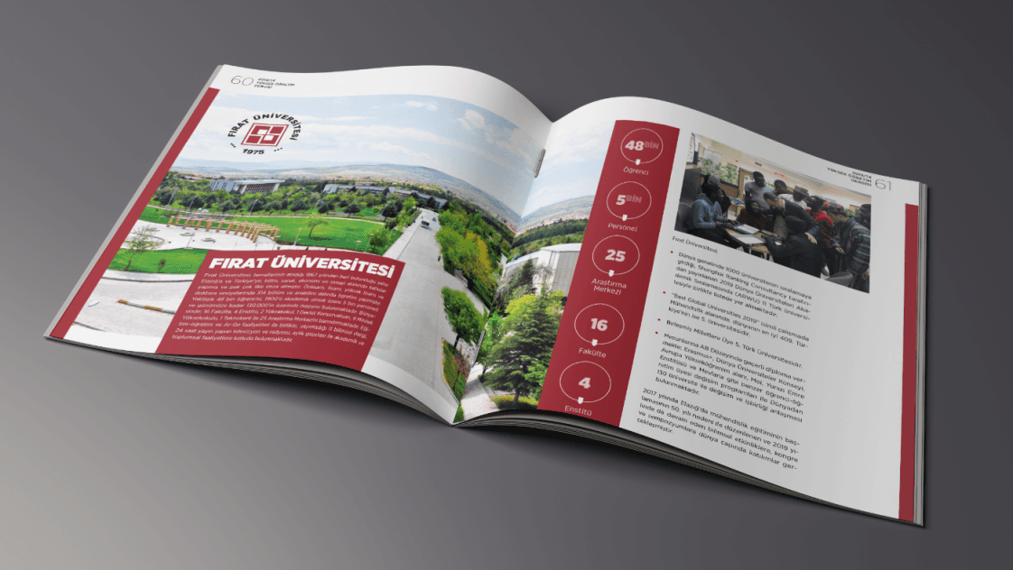 Özlem K. — çalışma 4