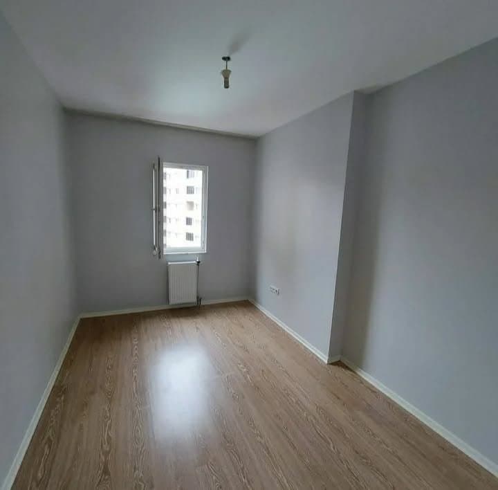 Paşa Ş. — çalışma 8