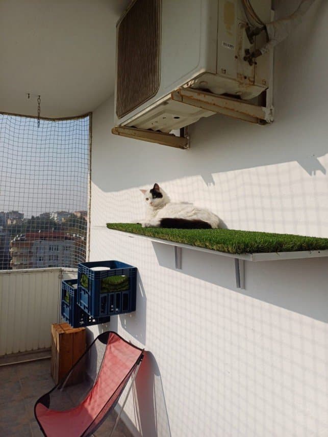 Perihan E. — çalışma 7