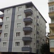 Picasso D. — çalışma 8
