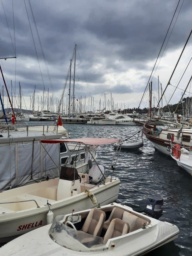 Sarp E. — çalışma 4