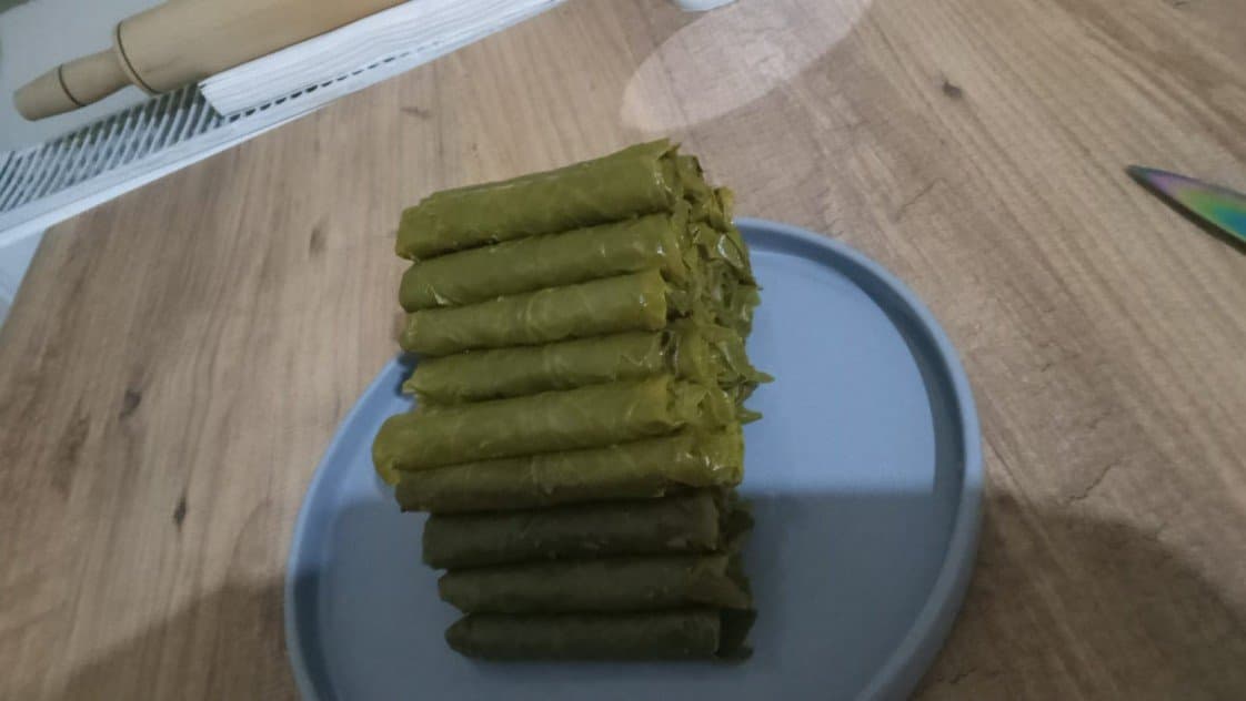 Savaş Ş. — çalışma 3