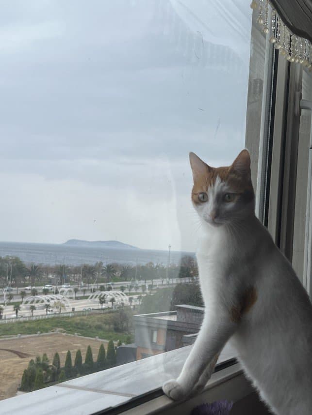 Şebnem G. — çalışma 1