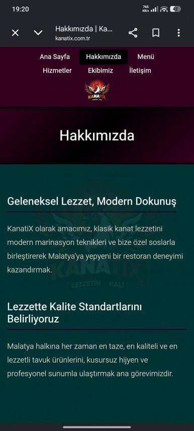 Sefa K. — çalışma 3