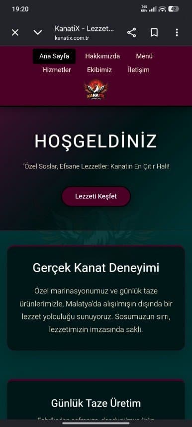Sefa K. — çalışma 7