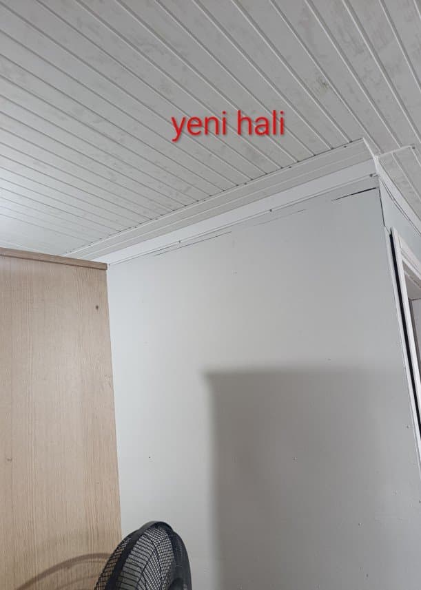 Selçuk P. — çalışma 1