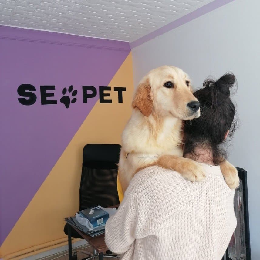 Senem D. — çalışma 2