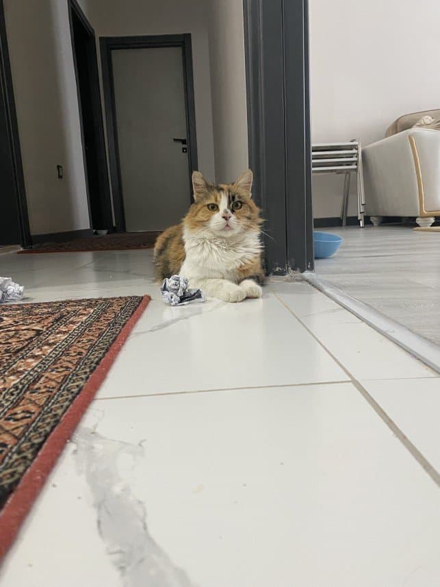 Şerife Ö. — çalışma 3