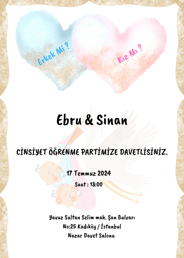Sevda Ö. — çalışma 2