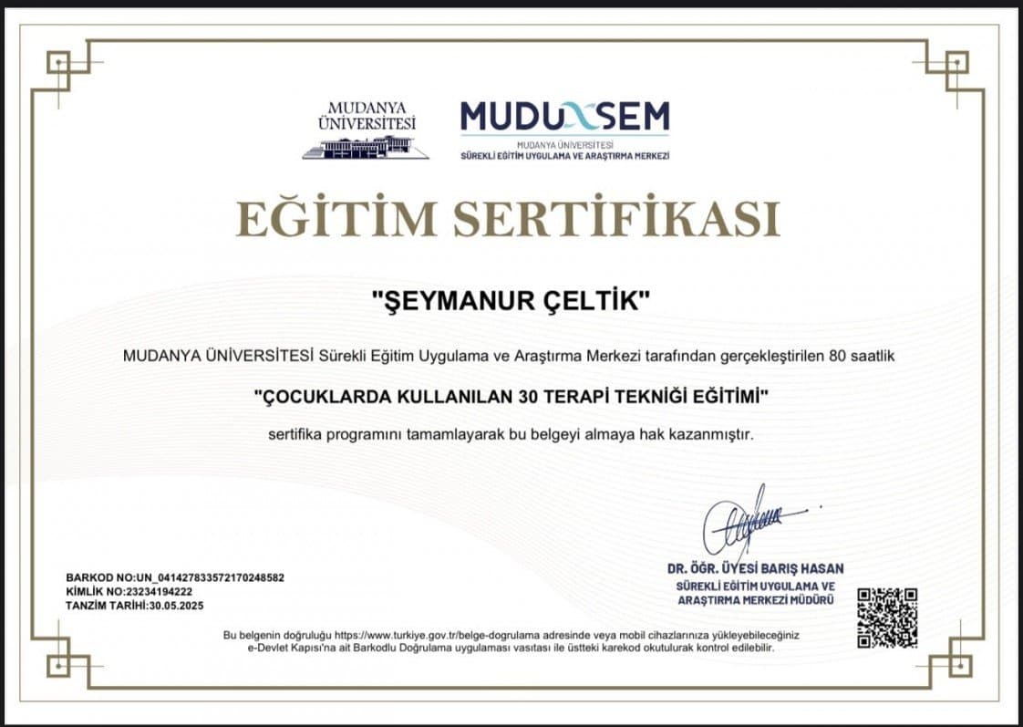 Şeymanur Ç. — çalışma 7