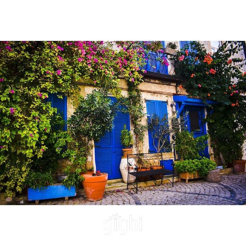 Smyrna F. — çalışma 2