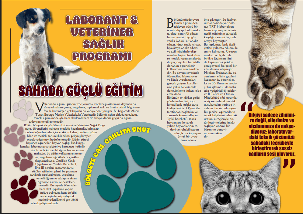 Sude Ş. — çalışma 4
