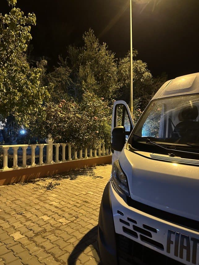 Tailedvan L. — çalışma 4