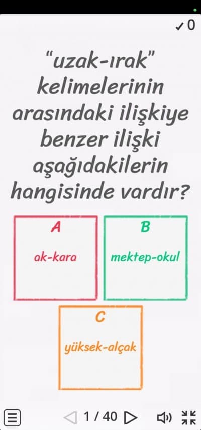 Tayyibe Y. — çalışma 3