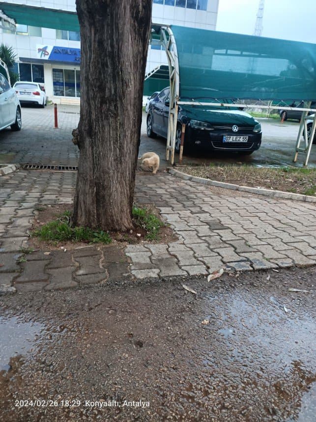 Test P. — çalışma 6