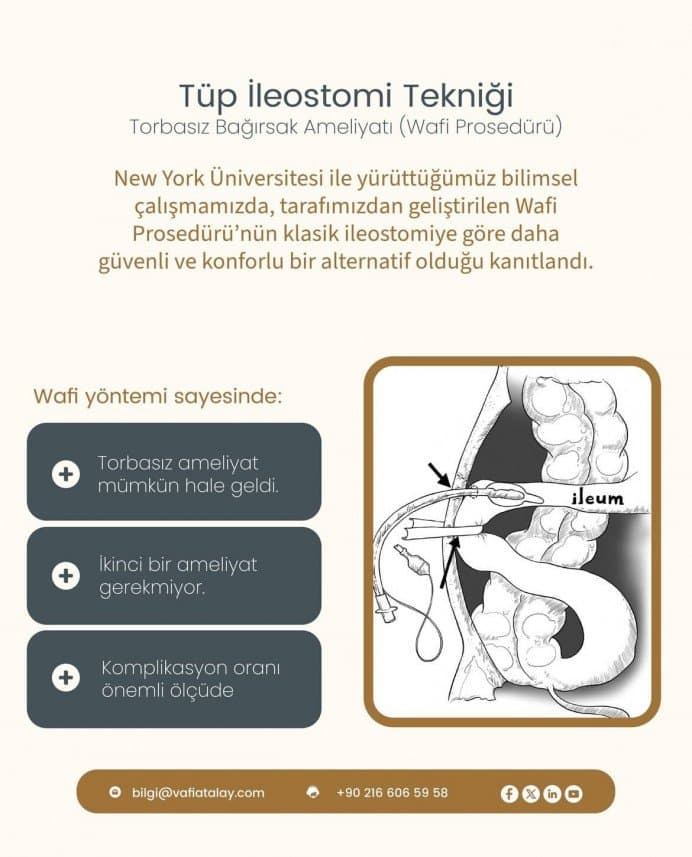 Tuana İ. — çalışma 2