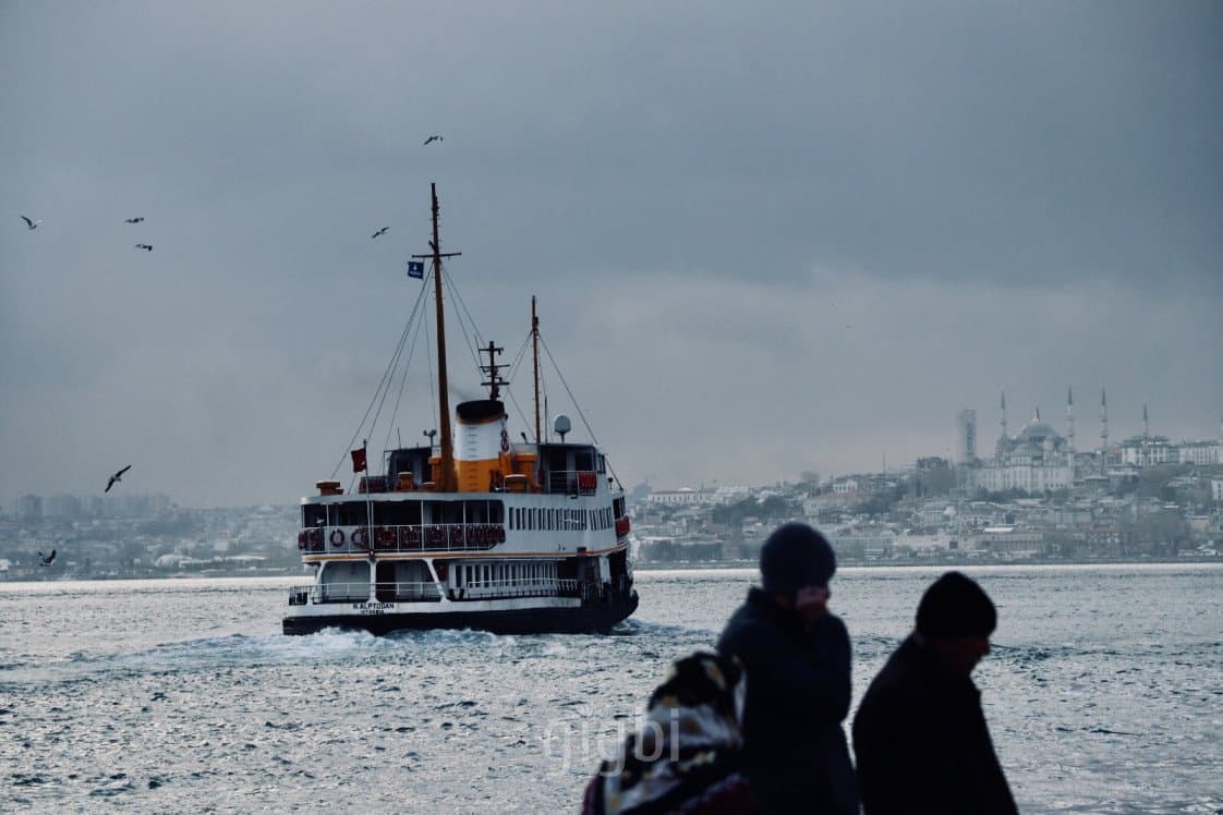 Tuana P. — çalışma 3