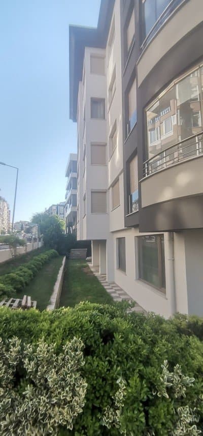 Vedat Ç. — çalışma 8