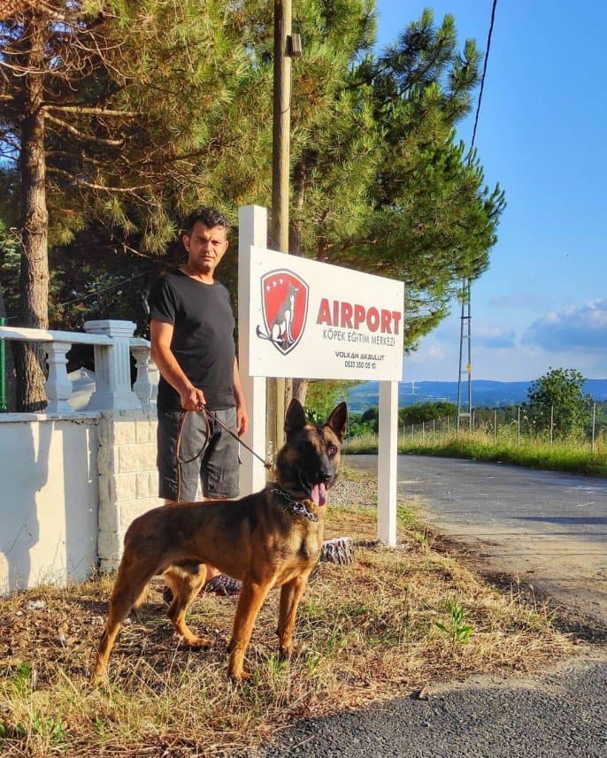 Volkan A. — çalışma 8