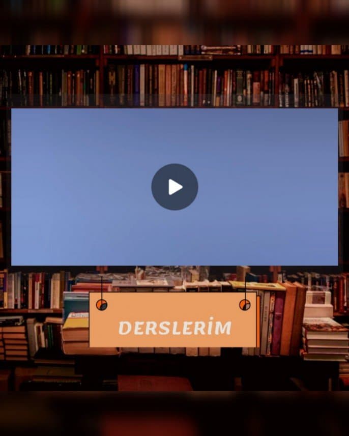 Yıldırım E. — çalışma 2