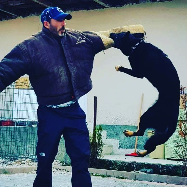 Yücel T. — çalışma 3