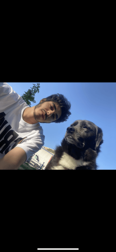 Yusuf K. — çalışma 3