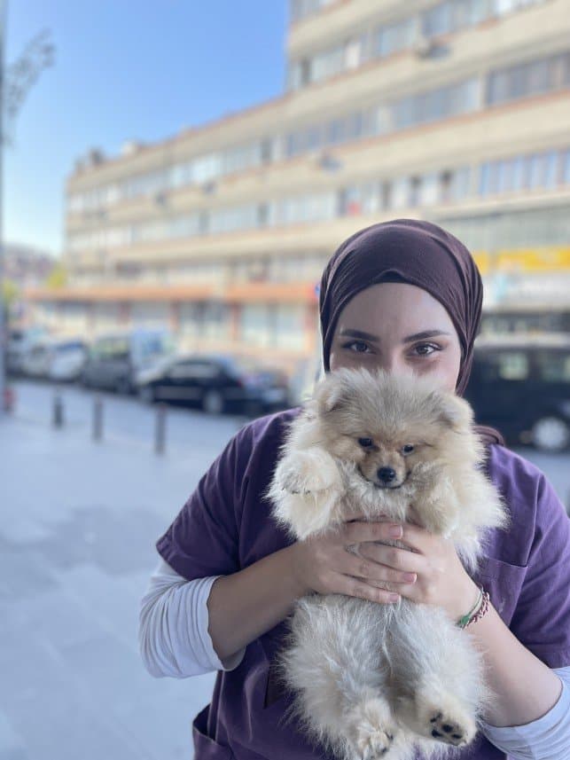 Zehra T. — çalışma 1