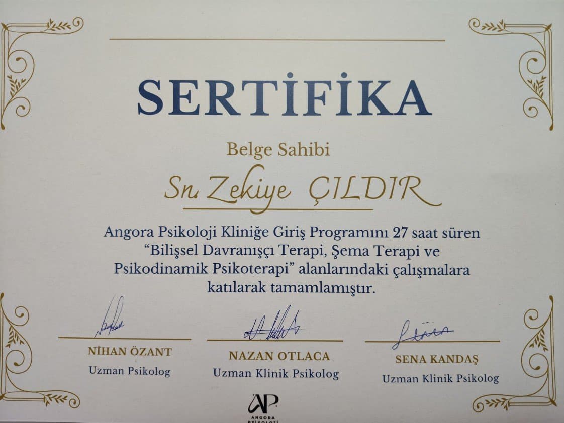 Zekiye Ç. — çalışma 1