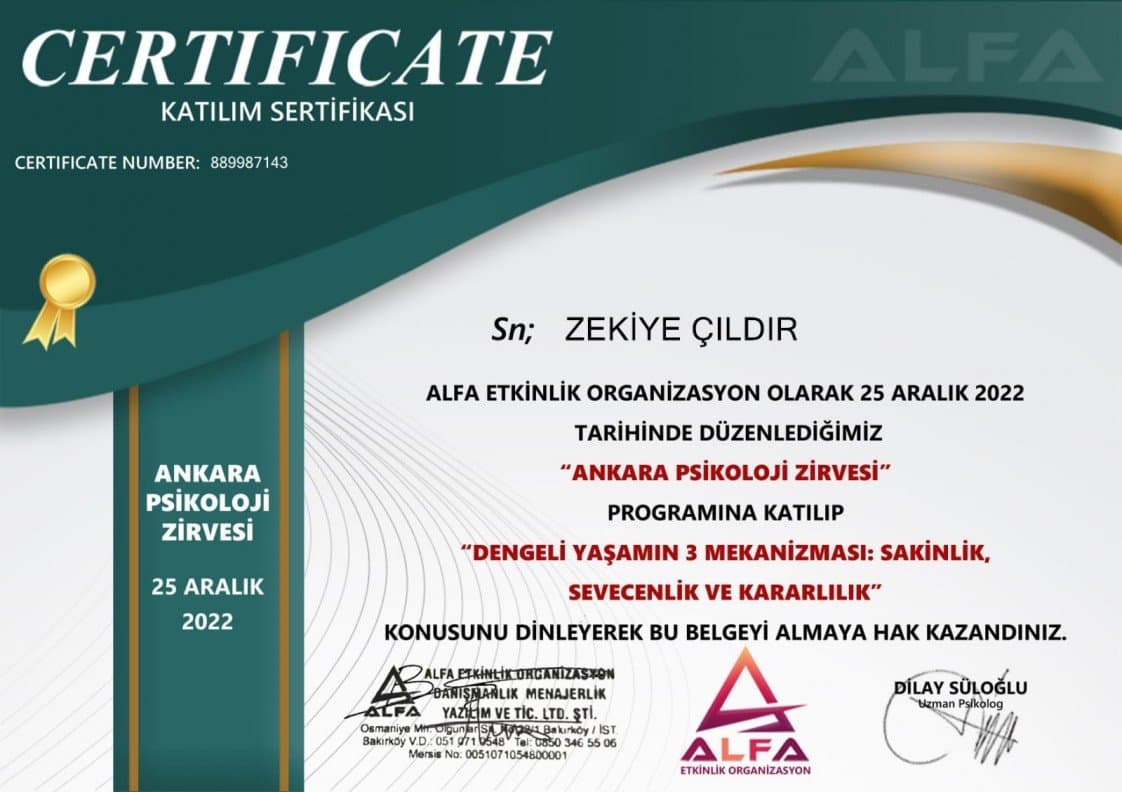 Zekiye Ç. — çalışma 4