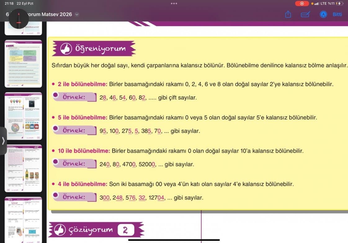 Zeynep İ. — çalışma 8