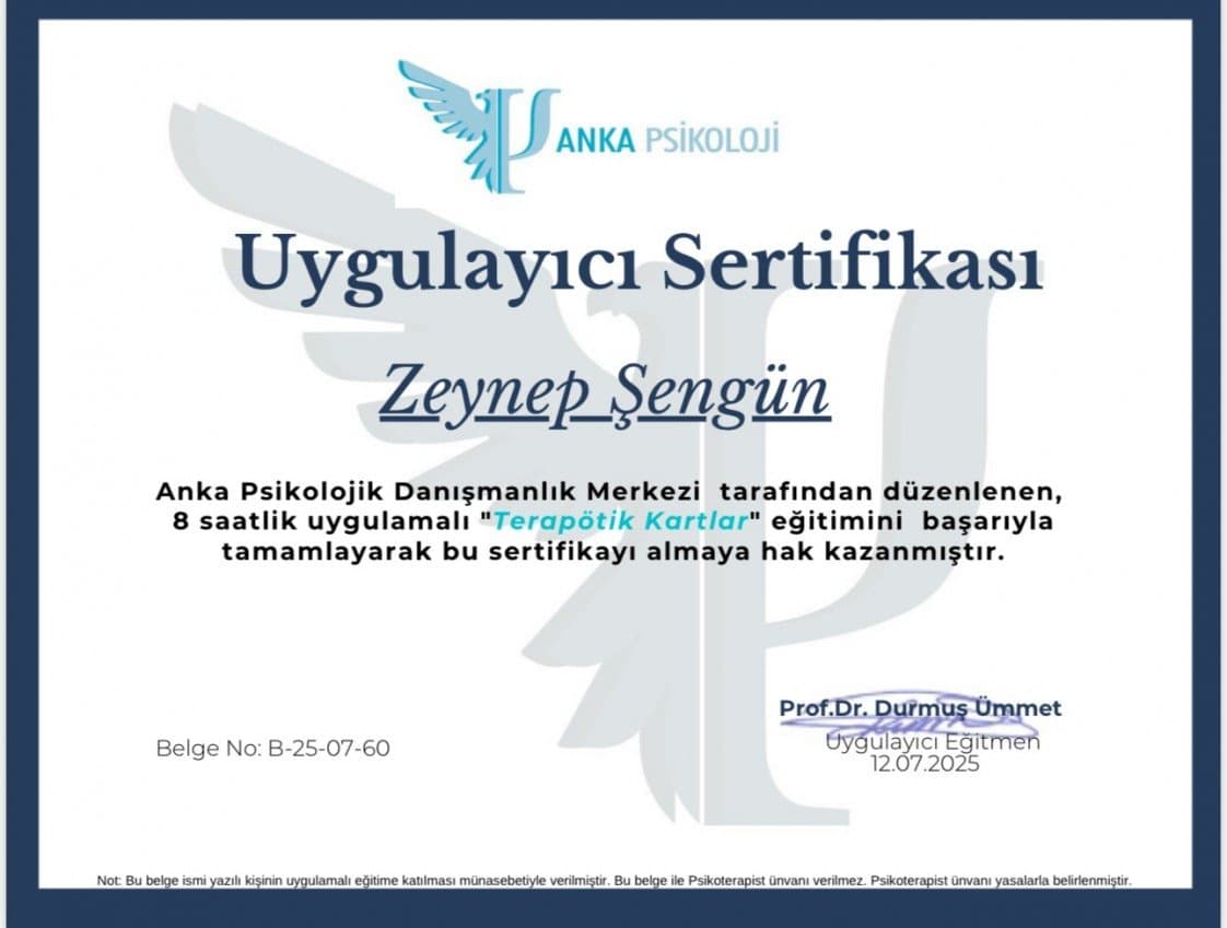 Zeynep Ş. — çalışma 2