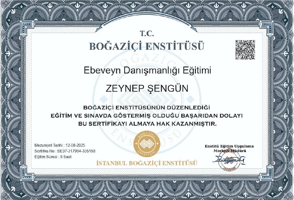 Zeynep Ş. — çalışma 4