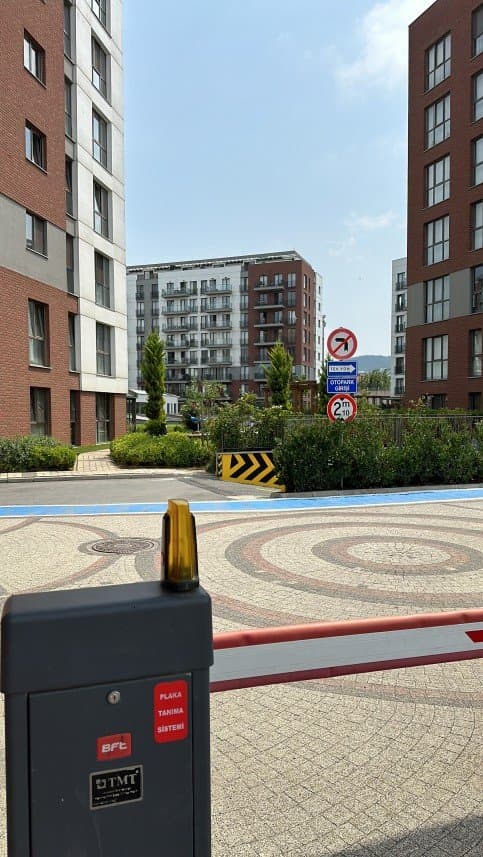 Zeynep T. — çalışma 1