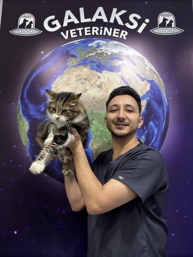 Zihni S. — çalışma 1