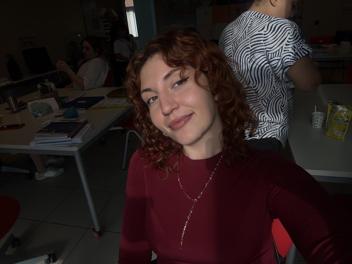 Zinnur Ç. — çalışma 2
