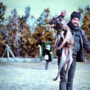 Anar J. profil fotoğrafı