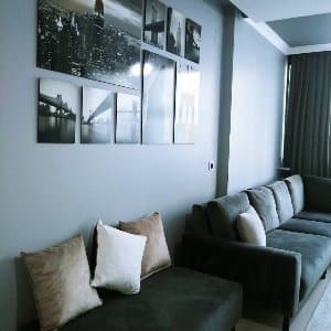 Arpa D. profil fotoğrafı