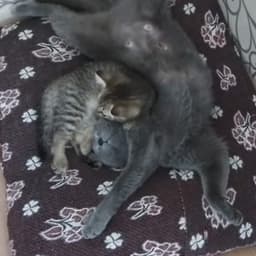 Aslı Y. profil fotoğrafı