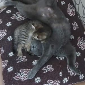 Aslı Y. profil fotoğrafı