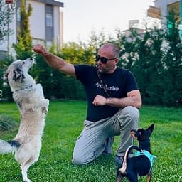 Aziz Ö. profil fotoğrafı
