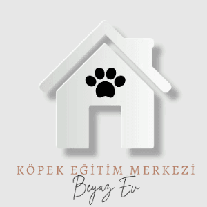 Beyaz M. profil fotoğrafı
