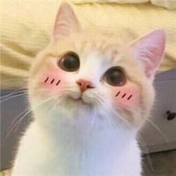 Büşra S. profil fotoğrafı