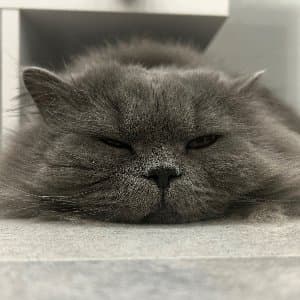 Büşra Y. profil fotoğrafı
